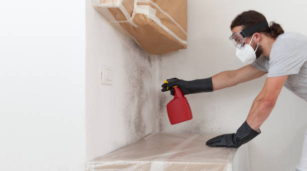 Professional Attic Mold Removal technician working in West Islip, NY