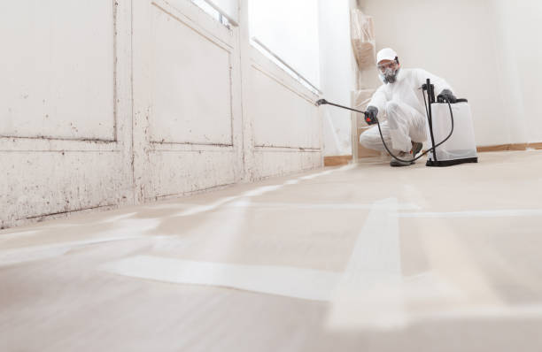 24/7 Emergency Attic Mold Removal experts in West Islip, NY